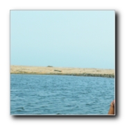 jillendru oru kathal